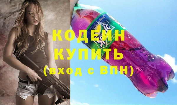 индика Вязники